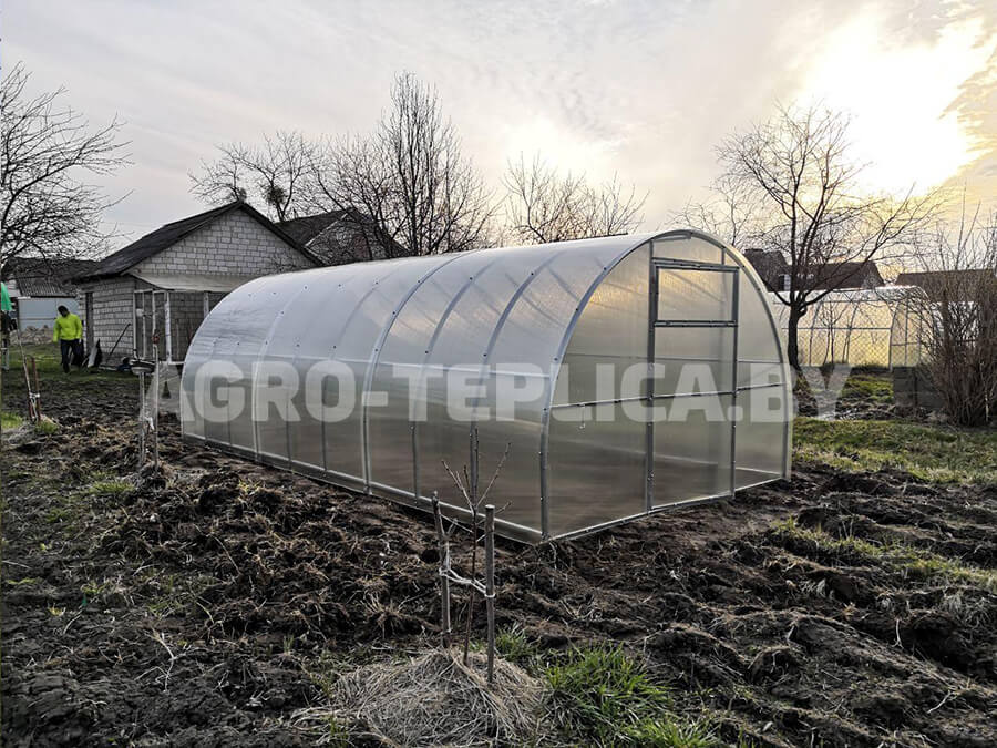 Фото Агротеплицы Престиж