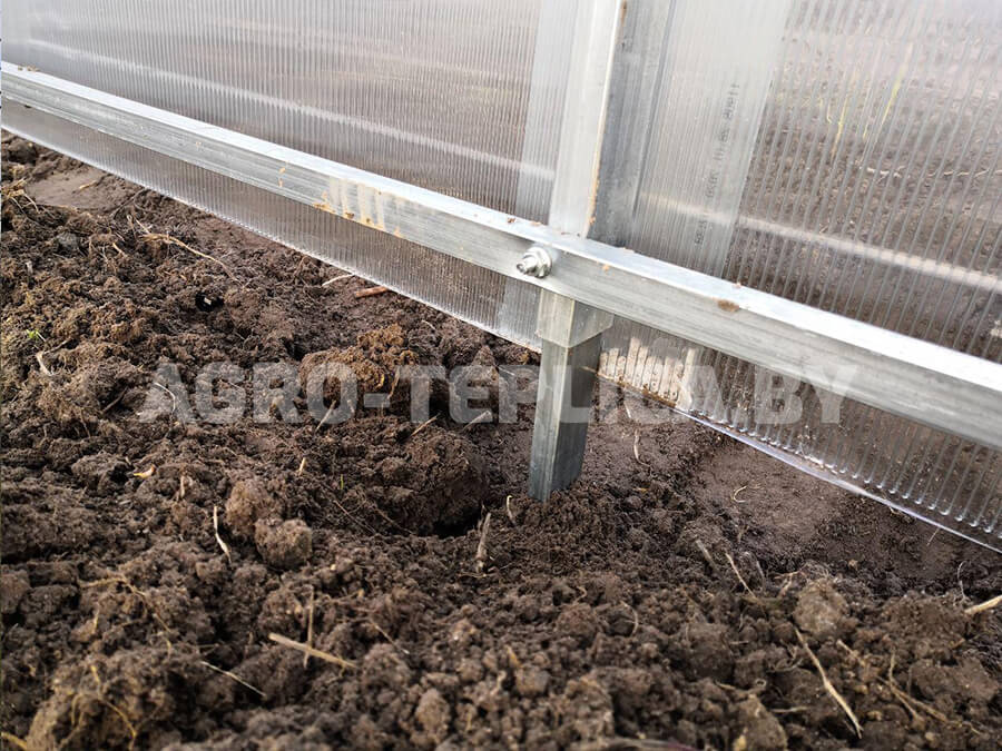 Фото Агротеплицы Престиж