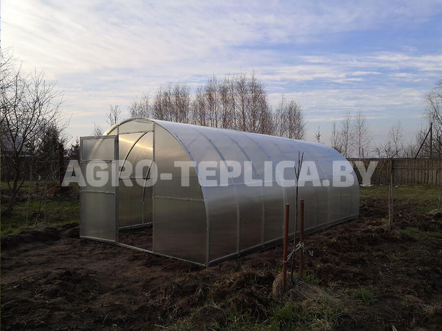 Фото Агротеплицы Престиж