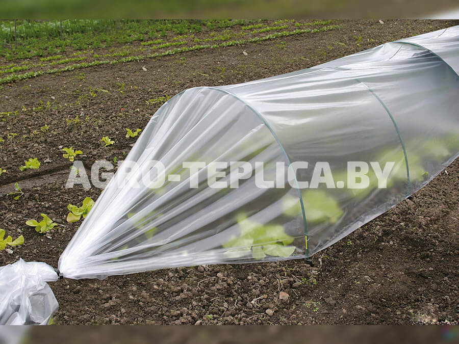 ФотоАгроПарника под пленку